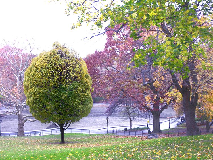 Jochen Brennecke Photography fall lollipop New York