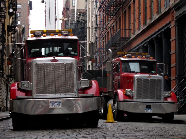 Jochen Brennecke Photography bull faces New York