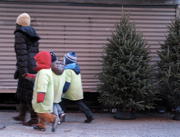 Jochen Brennecke Photography oh tannenbaum New York