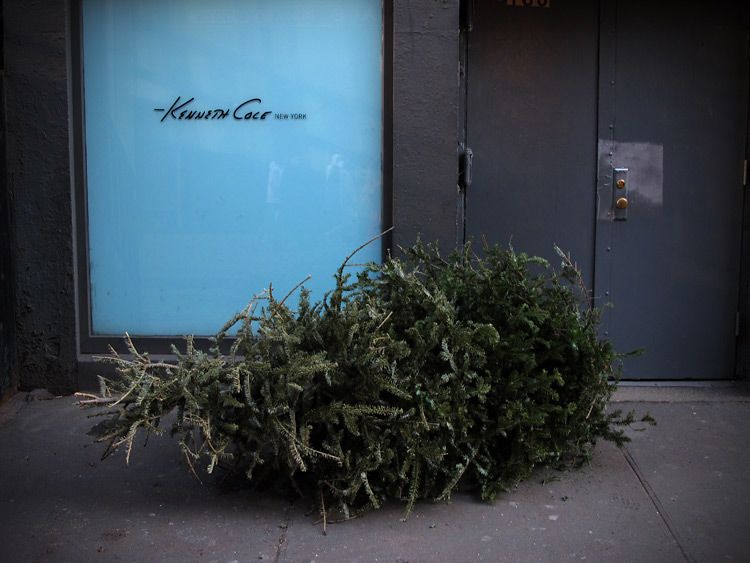 Jochen Brennecke Photography ciao tannenbaum New York