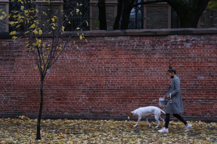 Jochen Brennecke Photography fall down New York