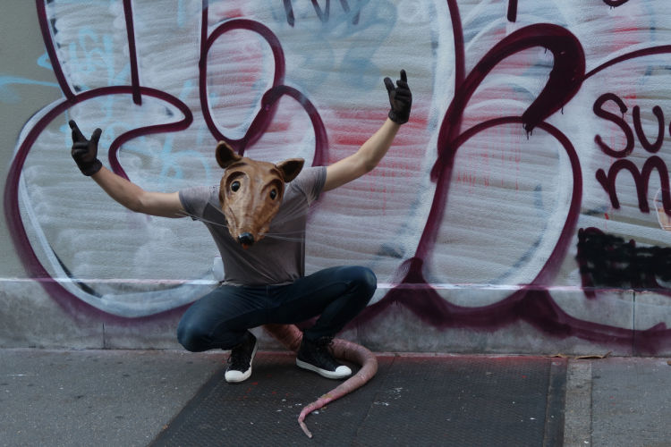 Jochen Brennecke Photography head tail New York