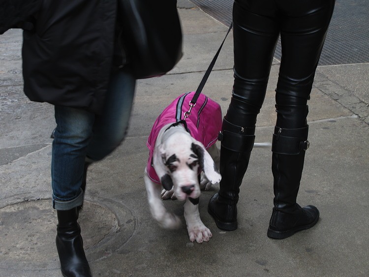 Jochen Brennecke Photography new born New York