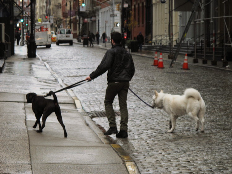 Jochen Brennecke Photography white 2x black New York