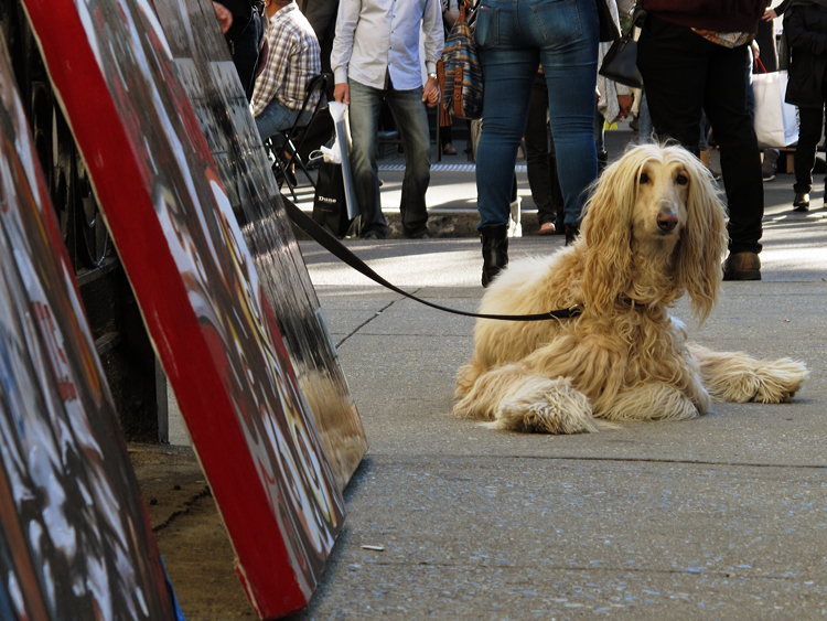 Jochen Brennecke Photography nice to meet you New York