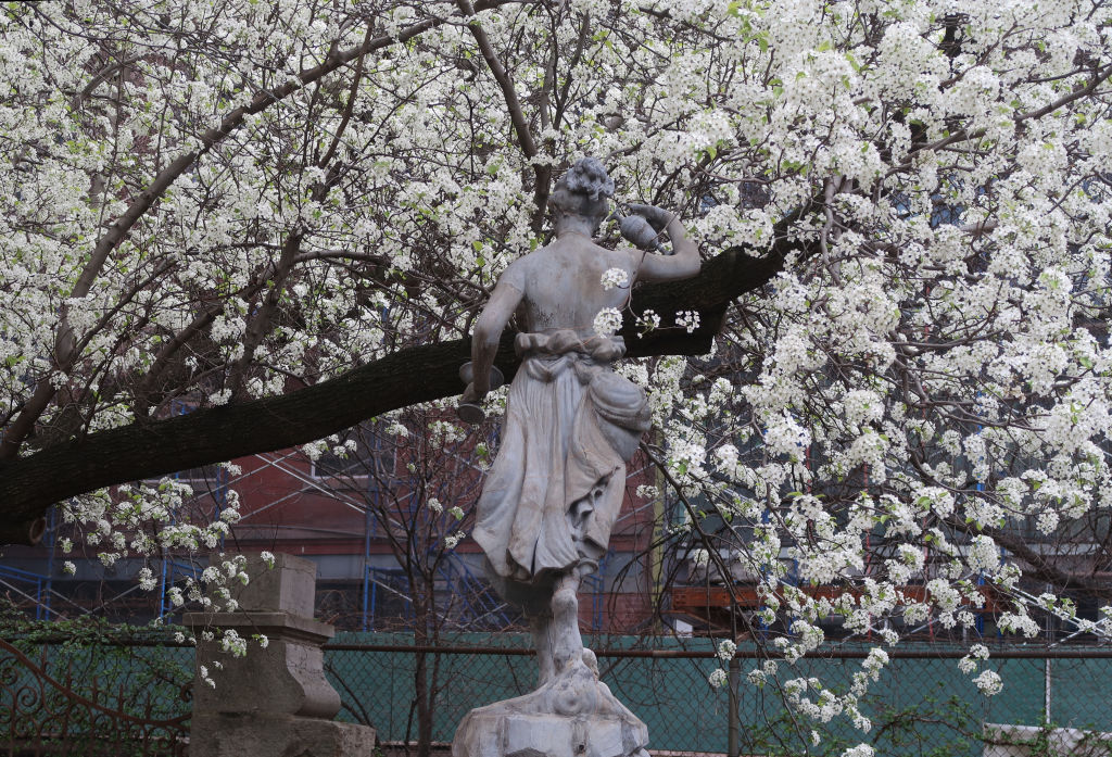 Jochen Brennecke Photography stand up New York
