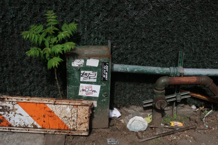 Jochen Brennecke Photography green zone New York