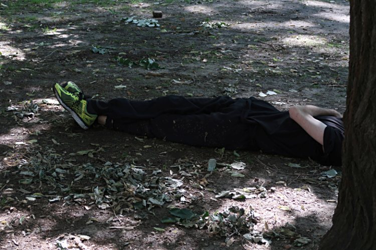 Jochen Brennecke Photography think tree New York