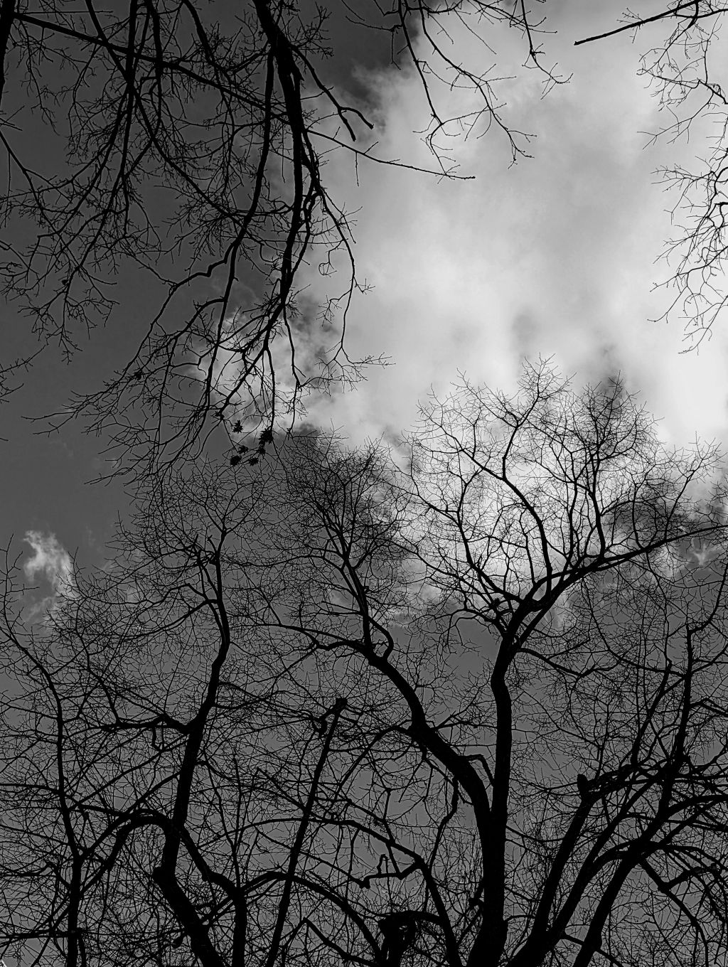 Jochen Brennecke Photography gone winter New York