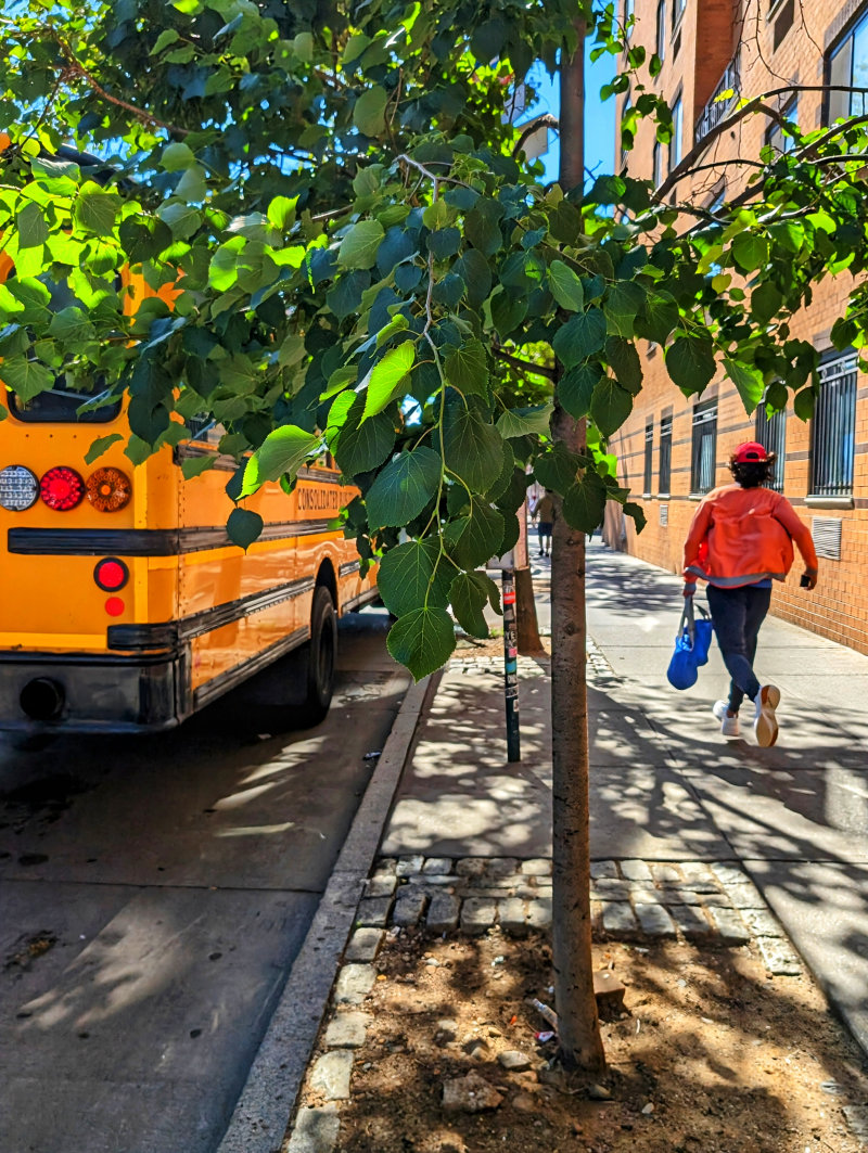 Jochen Brennecke Photography stop bus New York