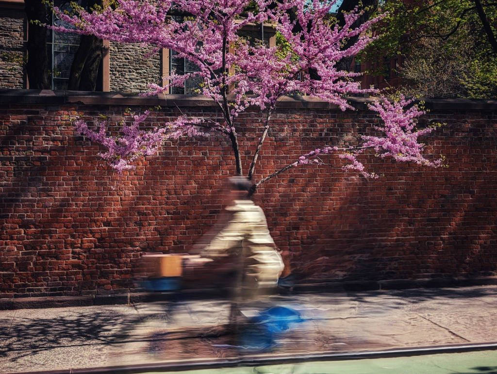 Jochen Brennecke Photography pass ing New York