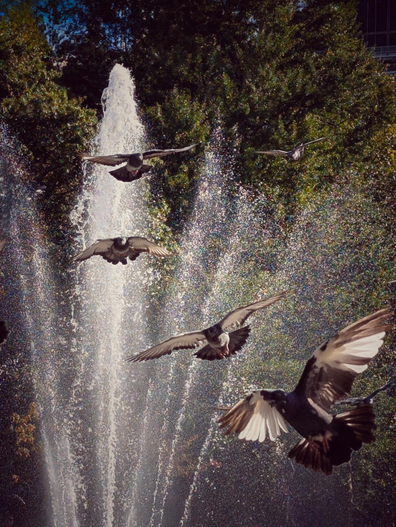 Jochen Brennecke Photography flight path New York