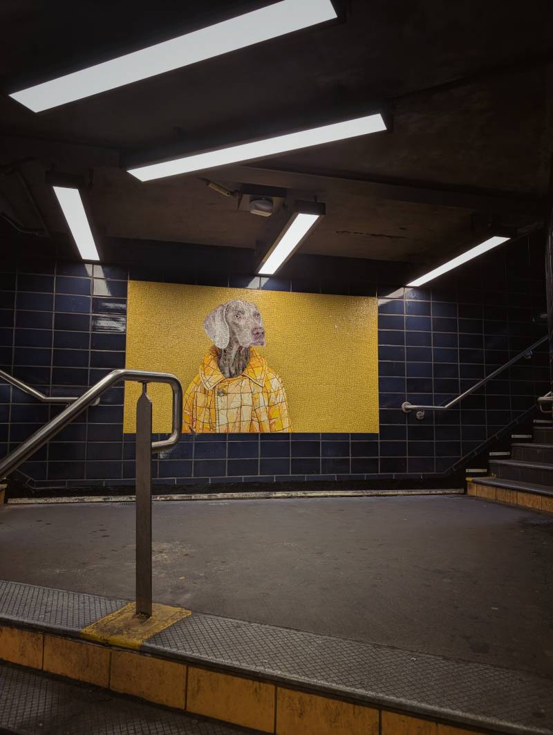 Jochen Brennecke Photography subway  dog New York